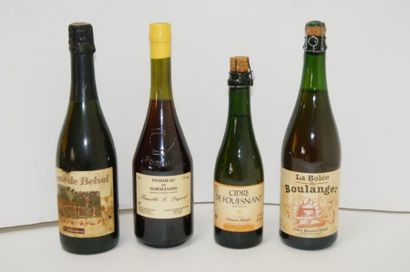null Lot de 4 bouteilles d'alcools : Pommeau de Normandie, Cidre de Fouesnant, Cidre...