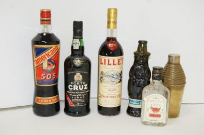 null Lot de 5 bouteilles d'alcools : Lillet (apéritif de Bordeaux), Kirsch, porto...
