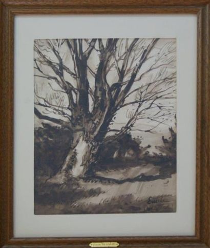 Emile BERNARD (1868-1941) Emile BERNARD (1868-1941)

Le grand arbre 

Lavis d'encre...