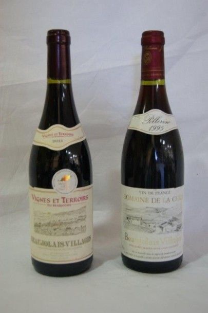 null Lot de deux bouteilles : Beaujolais Villages (domaine de la Chize, 1995) et...