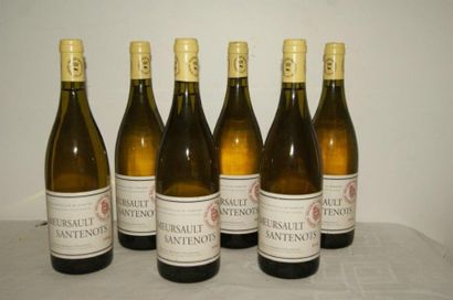 null 6 bouteilles de Meursault Santenots, domaine marquis d'Angerville, 2004.