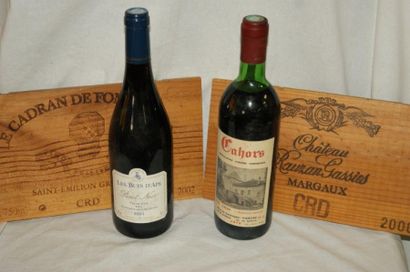 null Ensemble de deux bouteilles de vin rouge : Pinot Noir, Coteaux de l'Ardèche...