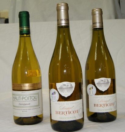 null 3 bouteilles de Sauvignon blanc : Haut Poitou 2010, Daguet de Berticot 2011...