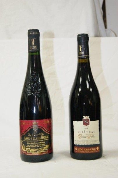 null 2 bouteilles de vin rouge, Anjou villages brissac 2009, Château les quatre filles...
