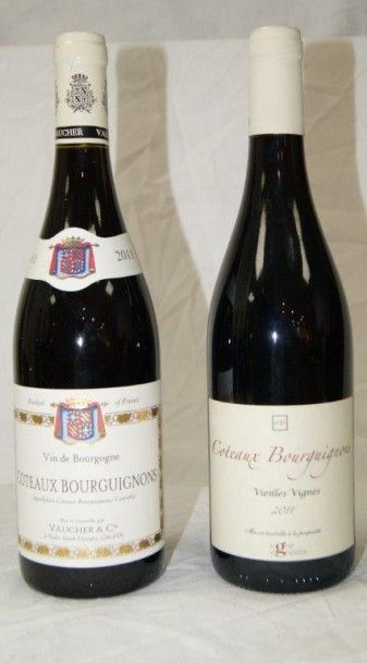 null 2 bouteilles de cotteaux bourguignon, Vaucher & Cie 2011, Vieille vigne 201...