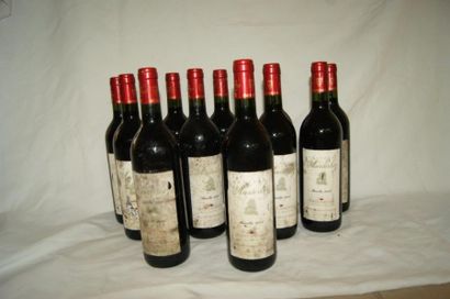 null 11 bouteilles de Saint Emilion, château Austerlitz, 2006 (étiquettes sales et...