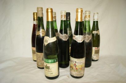 null Lot de 10 bouteilles de vins d'Alsace, Riesling, Sylvaner, Muscat. (étiquettes...