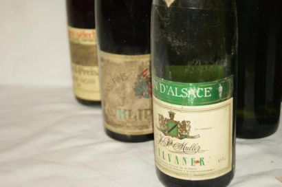 null Lot de 10 bouteilles de vins d'Alsace, Riesling, Sylvaner, Muscat. (étiquettes...