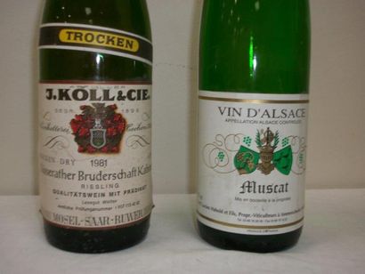 null 2 bouteilles de vin blanc : Muscat d'Alsace, Gaec Lucien Halbold, 1999 et Riesling...