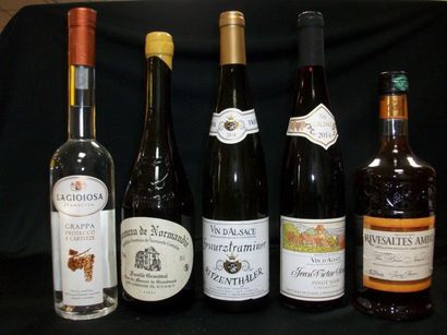 null Lot d'alcools : Pommeau de Normandie, Grappa, Vin doux ambré, 2 bouteilles de...