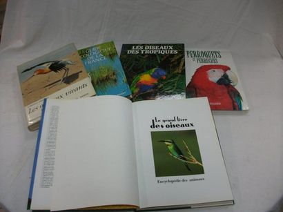 null Lot de 4 livres sur les Oiseaux : "Les Oiseaux vivants du Monde", "Les Oiseaux...