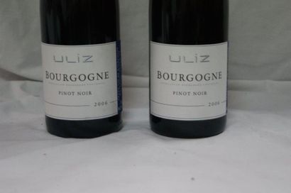 null 2 bouteilles de Bourgogne, Pinot Noir, Uliz, 2006.
