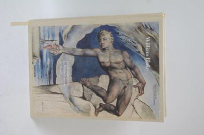 null SCHUTZE ET TERZOLI " William Blake , les dessins pour la divine Comédie de Dante...