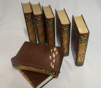 null Verlaine, "Oeuvres poétiques" Jean de Bonneau, 1975 (7 volumes)