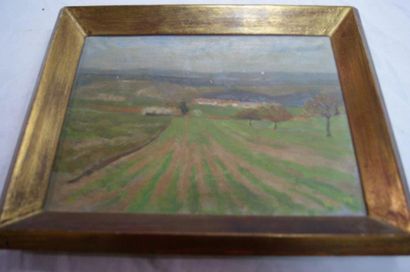 null SELVA"paysage au champs" huile sur toile .Signé en bas à droite .28X34 cm. ...