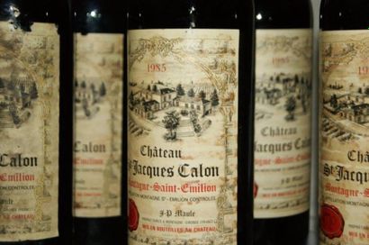 null 7 bouteilles de Montagne St Emilion, Château St Jacques Calon, 1985. (es, une...