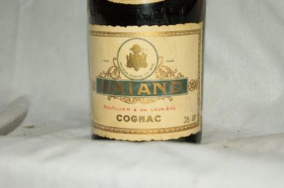 null 1 bouteille de Cognac Briand. Cuvée Consul.