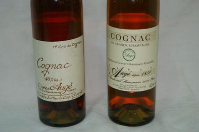 null Caves AUGE Ensemble de 2 bouteilles de cognac.