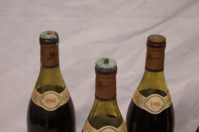 null 5 bouteilles de Chateauneuf du Pape, G. MOURE & fils, 1981. Etiquettes sales...