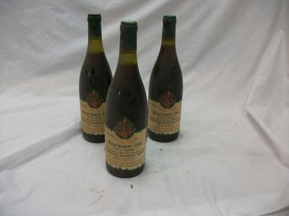 null 3 bouteilles de Bourgogne 1981, Confrérie des Chevaliers du Tastevin. (es, 1...