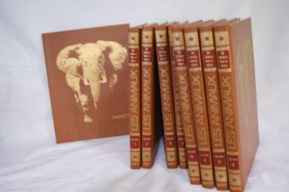 null Roger Dajoz "Les animaux dans la nature". Hachette, 1974. 7 volumes.