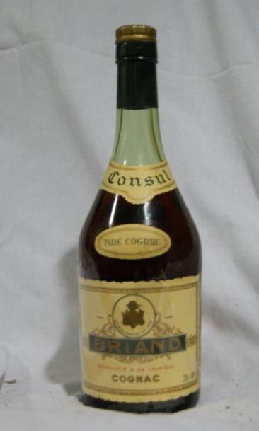 null 1 bouteille de Cognac Briand. Cuvée Consul.
