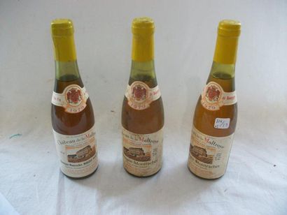 null 3 demi-bouteilles de Chassagne-Montrachet, cuvée La Maltroye, 1979. (LB)