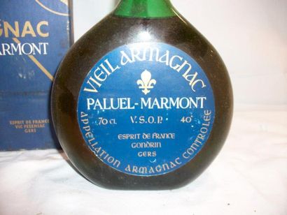 null 1 bouteille de Vieil Armagnac Paluel-Marmont. 70 cl (dans sa boîte, accident,...