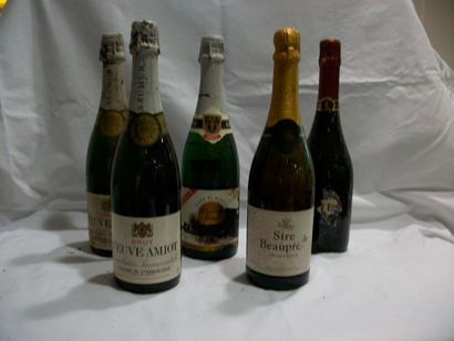 null 5 bouteilles de vins mousseux : 2 bouteilles de Saumur "Veuve Amiot", 1 Clairette...