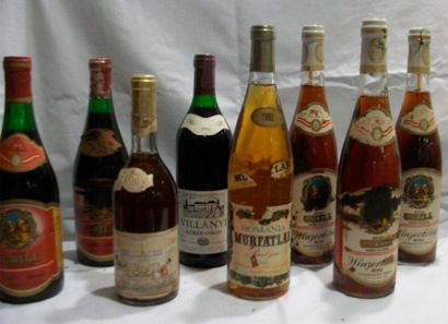 null Lot de 8 bouteilles de vins étrangers : 5 bouteilles de Brüder Grill (Autriche,...