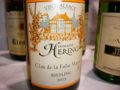 null Lot de 7 bouteilles de vins d'Alsace : 3 bouteilles de Riesling Les Maîtres...