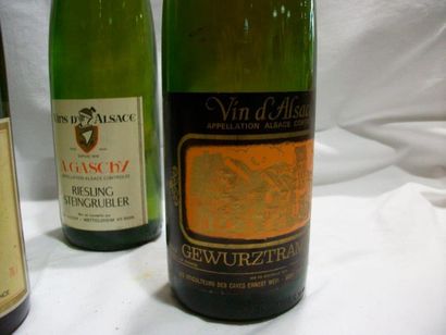 null Lot de 7 bouteilles de vins d'Alsace : 2 bouteilles de Riesling Dopff, 1 bouteille...