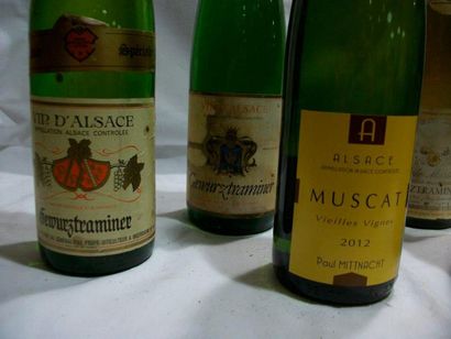 null Lot de 7 bouteilles de vins d'Alsace : 4 bouteilles de Gewurztraminer Comtes...
