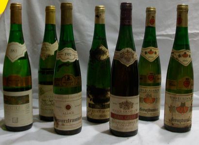 null Lot de 7 bouteilles de vins d'Alsace : 2 bouteilles de Gewurtraminer Dany Dietrich...