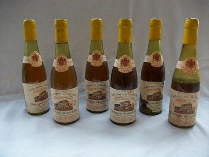 null 6 demi-bouteilles de Chassagne Montrachet blanc, La Maltroye, 1979