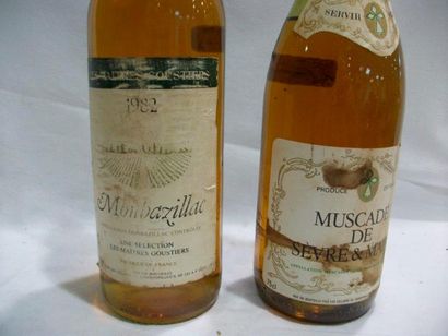 null 2 bouteilles vin : Montbazillac 1982 (ea) et Muscadet Sèvre & Maine (B, es)