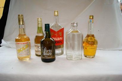 null Lot de 6 bouteilles d'alcools : vodka, eau de vie, liqueur, crème de banane,...