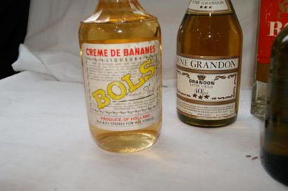 null Lot de 6 bouteilles d'alcools : vodka, eau de vie, liqueur, crème de banane,...