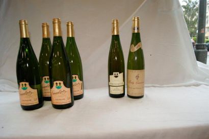 null Lot de 7 bouteilles de vin d'Alsace : 5 de Edelzwicker (Edmond Rentz, 1000ml),...