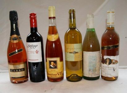 null Lot de 6 bouteilles de vins étrangers : Espagne, Afrique du Sud, Chili, Aus...