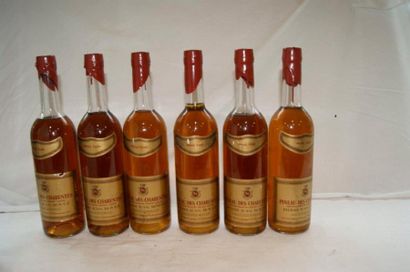 null 5 bouteilles de Pineau des Charentes (B)