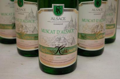 null 6 bouteilles de Muscat d'Alsace, Frederic Kuhlman, 1995 (léger dépôt)