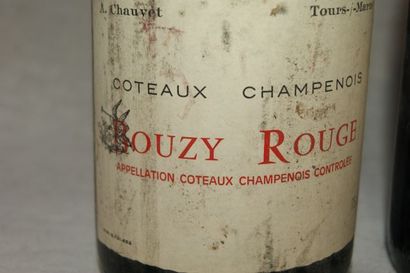 null Lot de 4 bouteilles de Bouzy Rouge, Côteaux champenois, 2 domaines différen...
