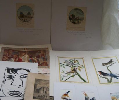 null Lot comprenant deux gravures ornithologiques, d'après Martinet, deux aquatintes,...