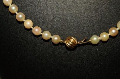 null Collier en perles de culture, fermoir en or jaune. Long.: 49 cm