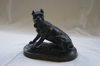 null Ecole moderne "Chien assis" Bronze. Haut.: 16 cm