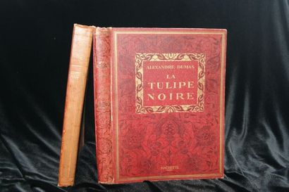 null Lot de deux livres : Dumas "La Tulipe Noire" Hachette - "Georges, un drame à...