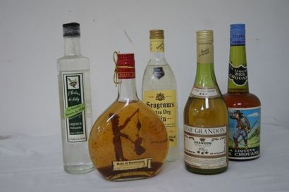 null Lot de 5 bouteilles d'alcools : Liqueur des Chouans, Marc de Bourgogne de la...