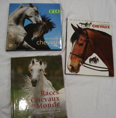 null Lot de 3 livres sur les chevaux