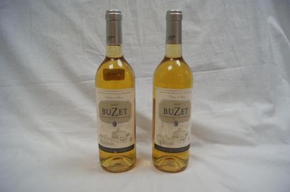 null 2 bouteilles de Buzet Blanc, 2007.